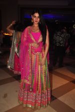 Sonal Chauhan at Vikram Singh_s Brother Uday Singh and Ali Morani_s daughter Shirin_s Sangeet Ceremony on 18th Dec 2014 (68)_549411c6653a0.JPG