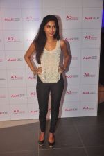 at Audi A3 launch in Andheri, Mumbai on 20th Dec 2014 (13)_5496a32c7d4f9.JPG