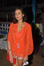 Ira Dubey at The ABV Nucleus Indian 2000 Guineas in Mumbai on 21st Dec 2014 (55)_5497de149f0fd.JPG
