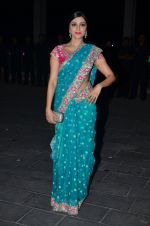 at Shirin Morani_s wedding reception in Sahara Star, Mumbai on 21st Dec 2014 (3)_5497e49634e27.JPG