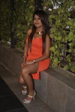 at Tina Ghai_s event for new years in Juhu, Mumbai on 23rd Dec 2014 (17)_549a8ec53715c.JPG