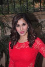 Sophie Choudry_s new years plans in Country Club on 26th Dec 2014 (21)_549e83eba7d1a.JPG