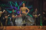 Sophie Chaudhary at Police show Umang in Andheri Sports Complex, Mumbai on 10th Jan 2015 (500)_54b281034a9cf.JPG