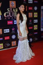 Jacqueline Fernandez at Producers Guild Awards 2015 in Mumbai on 11th Jan 2015 (520)_54b365f9a02ad.JPG