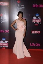 Priyanka Chopra at Life Ok Screen Awards red carpet in Mumbai on 14th Jan 2015 (78)_54b7ed14a9c00.JPG