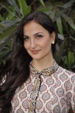 Elli Avram at the festive collection launch at the Hue store on 20th Jan 2015 (129)_54bf540384594.JPG