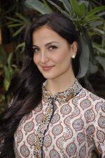 Elli Avram at the festive collection launch at the Hue store on 20th Jan 2015 (133)_54bf5408e10ba.JPG