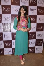at the festive collection launch at the Hue store on 20th Jan 2015 (12)_54bf538d8c9f0.JPG