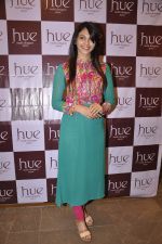 at the festive collection launch at the Hue store on 20th Jan 2015 (13)_54bf538f42498.JPG