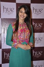 at the festive collection launch at the Hue store on 20th Jan 2015 (14)_54bf5390d1145.JPG