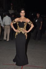Sophie Chaudhary at Filmfare Awards 2015 Arrival on 31st Jan 2015 (243)_54ce322469dd1.JPG
