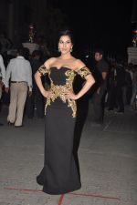 Sophie Chaudhary at Filmfare Awards 2015 Arrival on 31st Jan 2015 (244)_54ce322a7d8c7.JPG