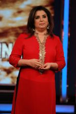 Farah Khan at Bigg Boss Halla Bol Grand Finale (166)_54cf1d0e04715.jpg