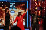 Gautam Gulati wins Bigg Boss Halla Bol Grand Finale (90)_54cf1d94d7be2.jpg