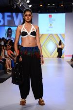 Model walk the ramp for Asmita Marwah Show at India beach Fashion Week in Goa on 5th Feb 2015 (36)_54d4780cc90ce.JPG