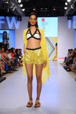 Model walk the ramp for Asmita Marwah Show at India beach Fashion Week in Goa on 5th Feb 2015 (49)_54d4782ed2e69.JPG