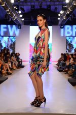 Model walk the ramp for James Fereira Show at India beach Fashion Week in Goa on 5th Feb 2015 (36)_54d47a8ee2ed4.JPG