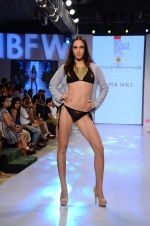 Model walk the ramp for Paperdoll Show at India beach Fashion Week in Goa on 5th Feb 2015 (10)_54d47c8f0afb9.JPG