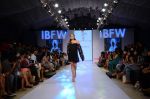 Model walk the ramp for Paperdoll Show at India beach Fashion Week in Goa on 5th Feb 2015 (15)_54d47c9c96742.JPG