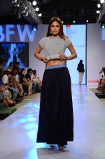Model walk the ramp for Paperdoll Show at India beach Fashion Week in Goa on 5th Feb 2015 (32)_54d47cdc24a6a.JPG