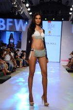 Model walk the ramp for Paperdoll Show at India beach Fashion Week in Goa on 5th Feb 2015 (45)_54d47cfa33cec.JPG