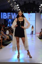 Model walk the ramp for Paperdoll Show at India beach Fashion Week in Goa on 5th Feb 2015 (64)_54d47d348c5e7.JPG