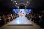 Model walk the ramp for Paperdoll Show at India beach Fashion Week in Goa on 5th Feb 2015 (68)_54d47d3a55131.JPG