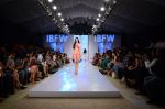Model walk the ramp for Paperdoll Show at India beach Fashion Week in Goa on 5th Feb 2015 (75)_54d47d5215a85.JPG