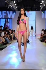 Model walk the ramp for Paperdoll Show at India beach Fashion Week in Goa on 5th Feb 2015 (78)_54d47d6dd9969.JPG
