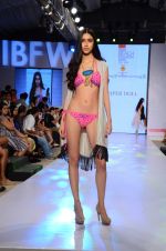 Model walk the ramp for Paperdoll Show at India beach Fashion Week in Goa on 5th Feb 2015 (82)_54d47d8a5817a.JPG