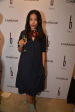 at Behno ethical designer label launch in Colaba, Mumbai on 7th Feb 2015 (77)_54d74a458c850.JPG