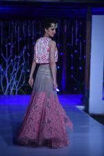 Model walk the ramp for Shane Falguni Finale Show at India BEach Fashion Week on 9th Feb 2015 (2)_54d9adec14366.JPG