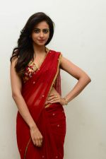 Rakul Preet Singh Photoshoot on 17th Feb 2015 (114)_54e455faa0994.jpg