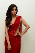 Rakul Preet Singh Photoshoot on 17th Feb 2015 (116)_54e455fdd3166.jpg