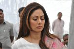 Sridevi at Ramanaidu antima yatra on 19th Feb 2015 (22)_54e6eddba28ed.jpg