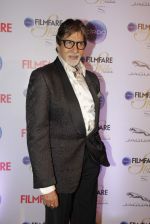 Amitabh Bachchan at Ciroc Filmfare Galmour and Style Awards in Mumbai on 26th Feb 2015 (242)_54f0778f3114b.JPG