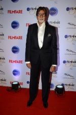 Amitabh Bachchan at Ciroc Filmfare Galmour and Style Awards in Mumbai on 26th Feb 2015 (611)_54f076671a2c3.JPG