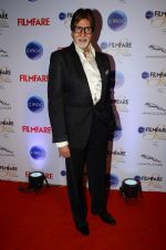 Amitabh Bachchan at Ciroc Filmfare Galmour and Style Awards in Mumbai on 26th Feb 2015 (618)_54f07673ef4a1.JPG