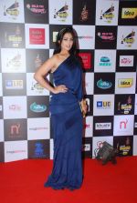 Anjana Sukhani at 7th Mirchi Music Awards in Mumbai on 26th Feb 2015 (26)_54f06f3ae81a7.JPG