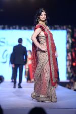  at Shaina NC-Manish Malhotra Pidilite Show for CPAA on 1st March 2015 (157)_54f4628727567.JPG