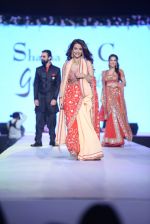  at Shaina NC-Manish Malhotra Pidilite Show for CPAA on 1st March 2015 (187)_54f462a525f18.JPG