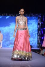  at Shaina NC-Manish Malhotra Pidilite Show for CPAA on 1st March 2015 (229)_54f462bfd9176.JPG