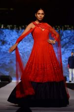 Model at Shaina NC-Manish Malhotra Pidilite Show for CPAA on 1st March 2015 (515)_54f45e4a86709.JPG