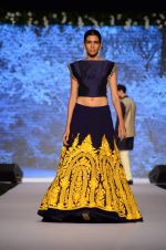 Model at Shaina NC-Manish Malhotra Pidilite Show for CPAA on 1st March 2015 (533)_54f45e6d642d2.JPG