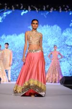 Model at Shaina NC-Manish Malhotra Pidilite Show for CPAA on 1st March 2015 (548)_54f45e854891d.JPG