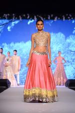 Model at Shaina NC-Manish Malhotra Pidilite Show for CPAA on 1st March 2015 (549)_54f45e86691d6.JPG