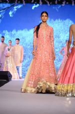 Model at Shaina NC-Manish Malhotra Pidilite Show for CPAA on 1st March 2015 (557)_54f45e93ace2f.JPG