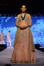 Model at Shaina NC-Manish Malhotra Pidilite Show for CPAA on 1st March 2015 (568)_54f45ea83df53.JPG