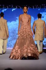 Model at Shaina NC-Manish Malhotra Pidilite Show for CPAA on 1st March 2015 (572)_54f45eae60637.JPG