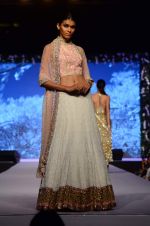 Model at Shaina NC-Manish Malhotra Pidilite Show for CPAA on 1st March 2015 (597)_54f45ed41d0f2.JPG